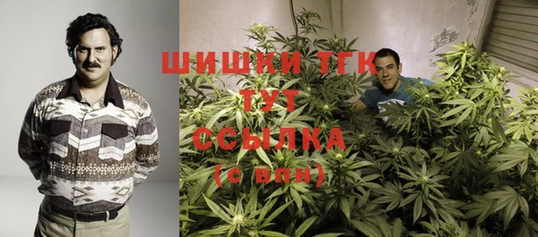 прущие крисы Верея