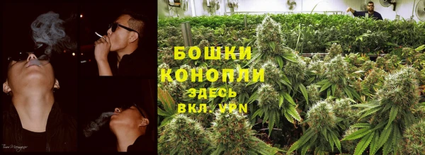 прущие крисы Верея