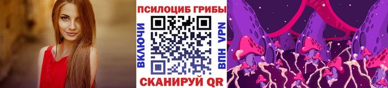 Галлюциногенные грибы GOLDEN TEACHER  Высоковск 